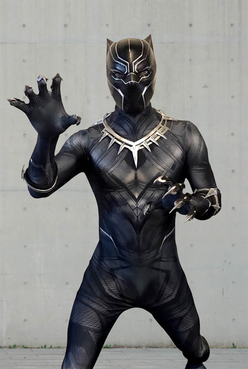 black panther party character New York
